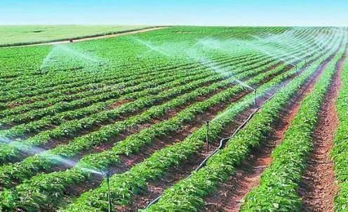 男插入女人考妣农田高 效节水灌溉